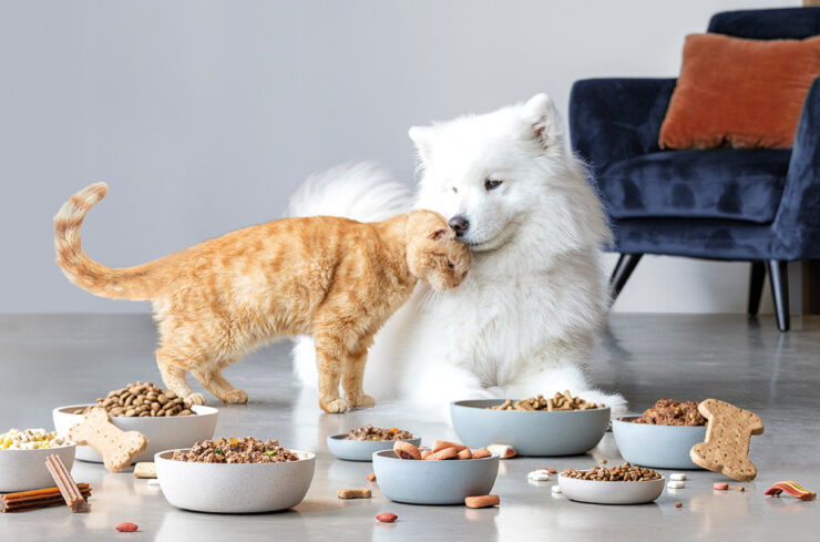 Top Pet Food Choices: Nutrition and Convenience for Happy Pets