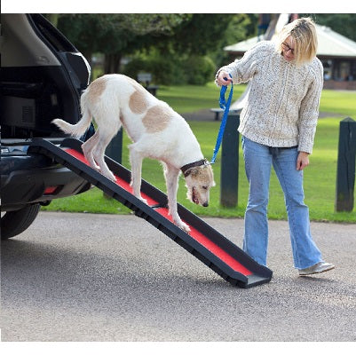 Henry Wag Pet Folding Ramp Lightweight