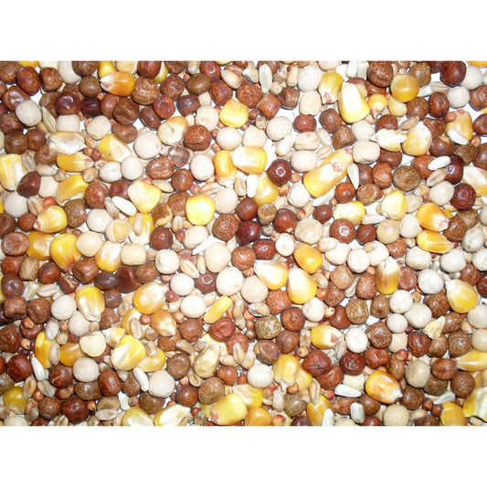 JJ All Rounder Pigeon Corn 20 kg