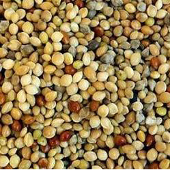 JJ Millet Mixed 20 kg