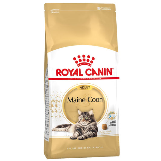 RC Maine Coon 2 kg