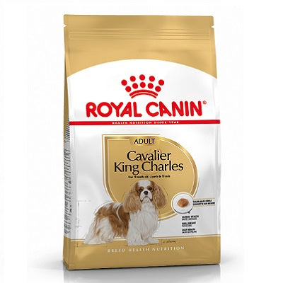 RC Cavalier King Charles 7.5 kg