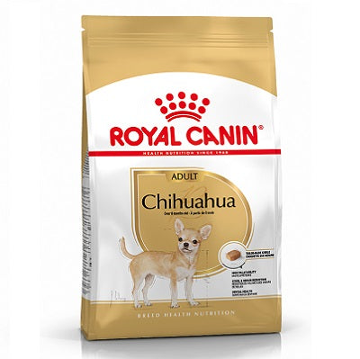 RC Chihuahua 1.5 kg