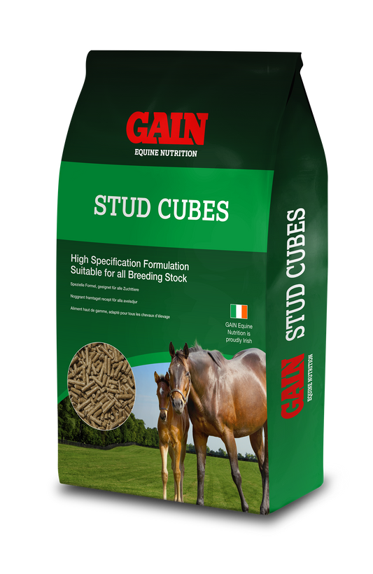 Gain Stud Cubes 25 kg