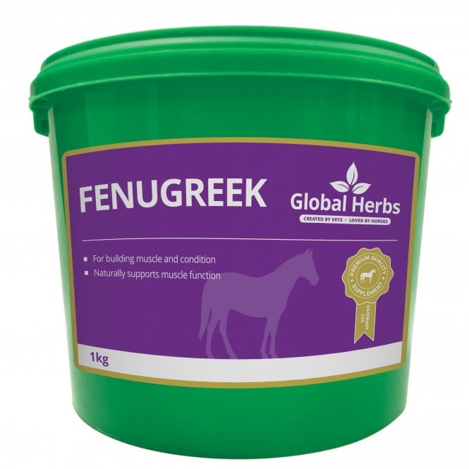 Global H Fenugreek 1 kg