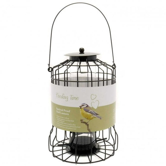 Squirrel Proof Seed Lantern