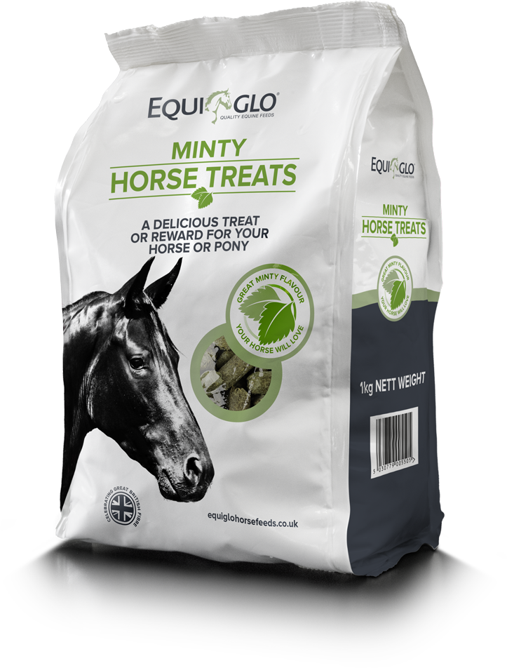 Mr Johnsons Equiglo Horse Trts&Herb 1 kg