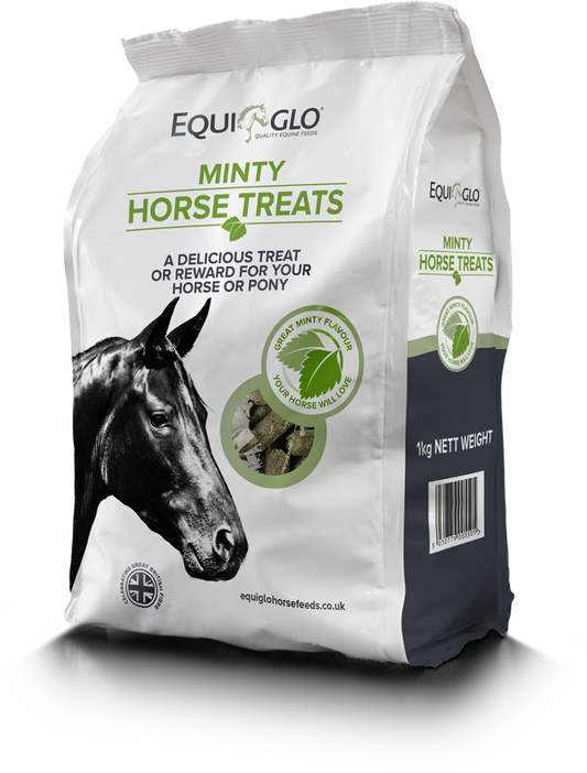 Mr Johnsons Equiglo Horse Trts&Herb 1 kg