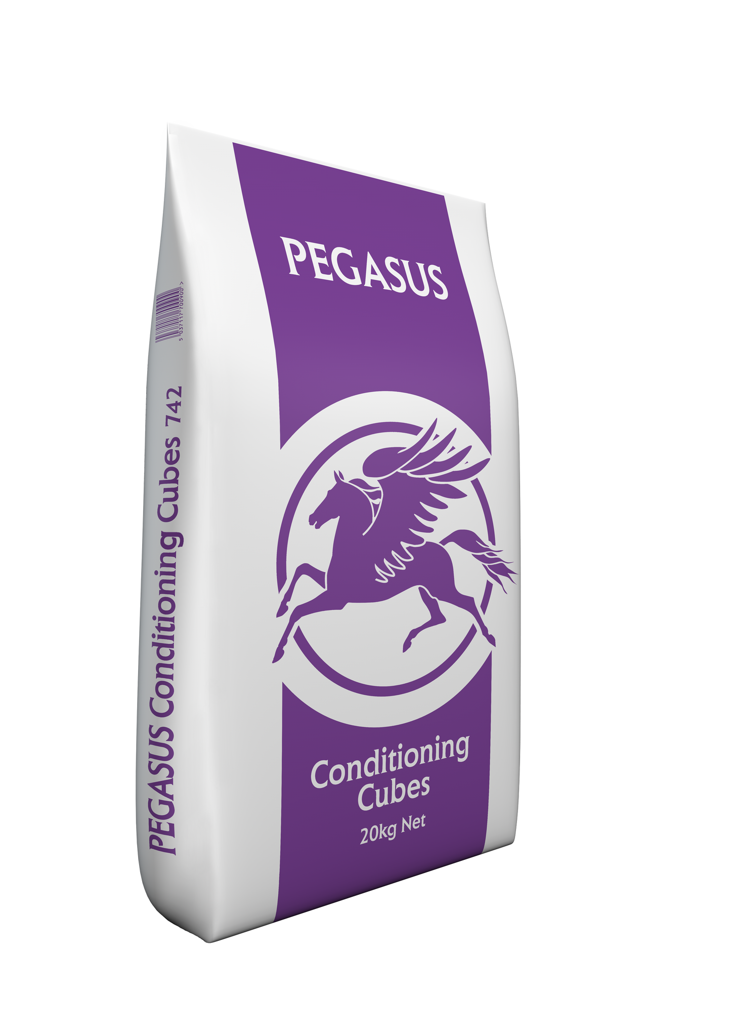 Pegasus Conditioning Cubes 20 kg