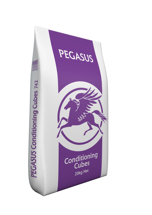 Pegasus Conditioning Cubes 20 kg