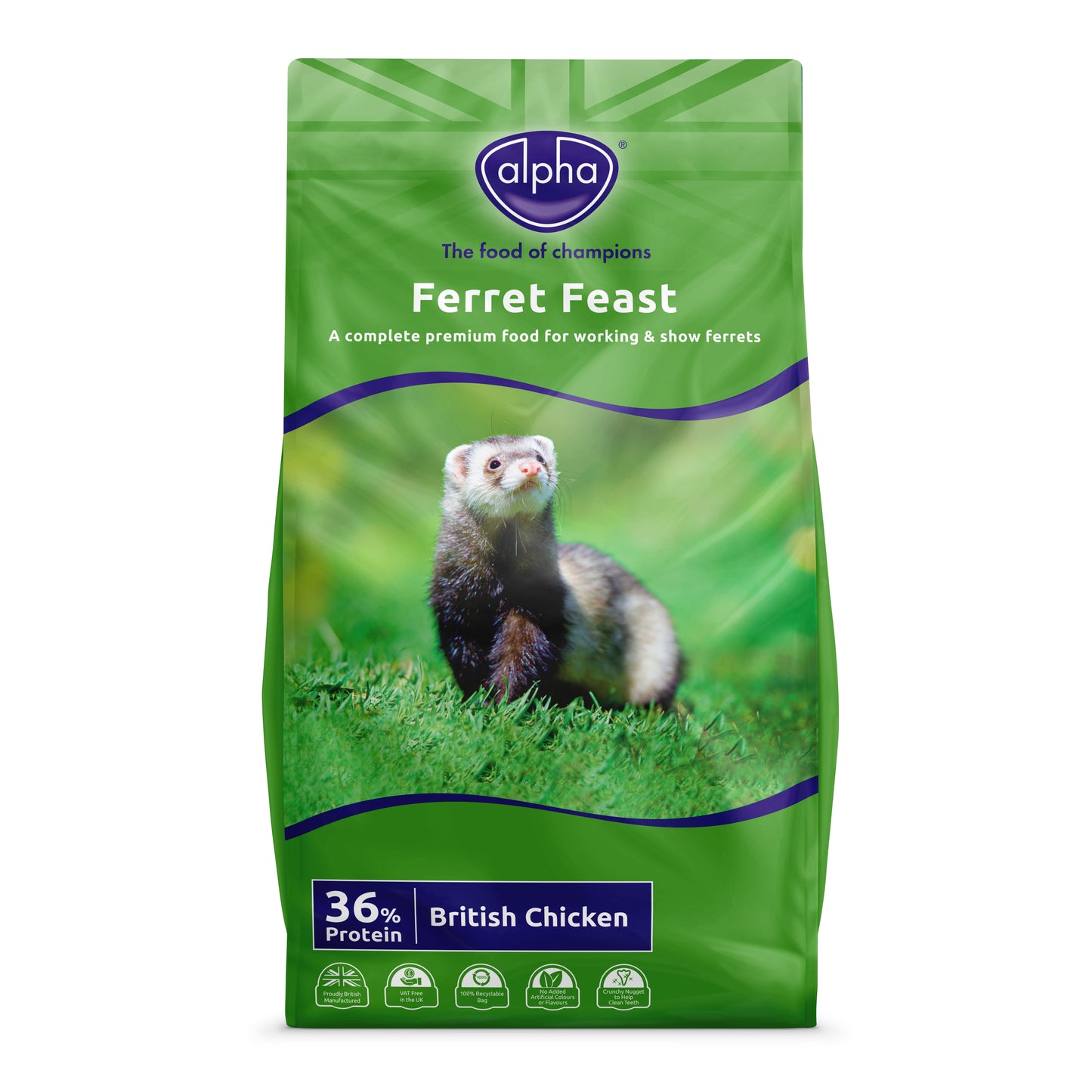 Alpha Ferret Feast 10 kg