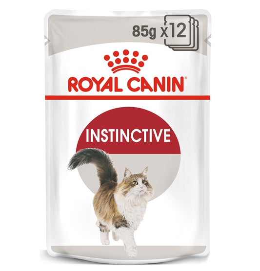 RC Instinctive In Jelly 12x85g