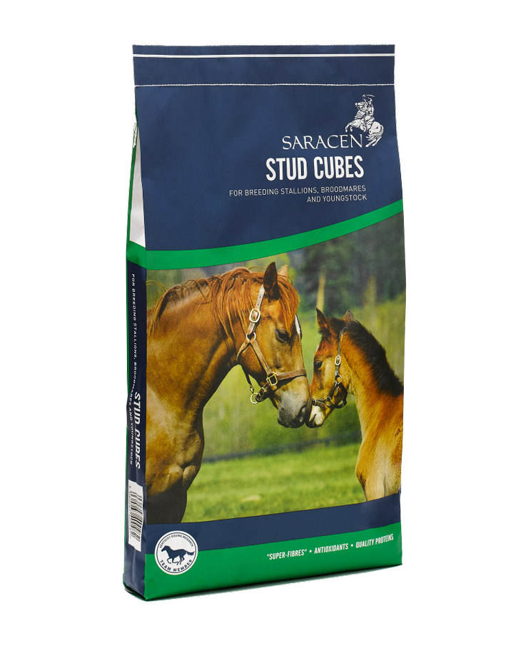 Saracen Stud Cubes 20 kg