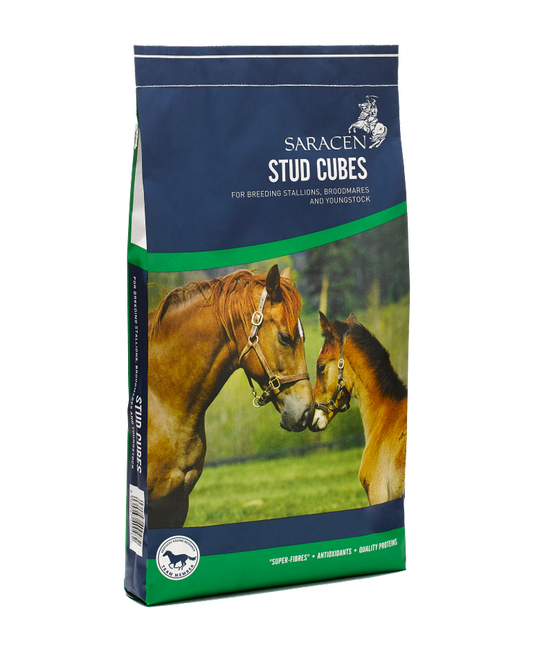 Saracen Stud Cubes 20 kg