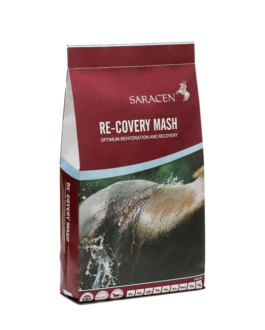 Saracen Re-Covery Mash 20 kg