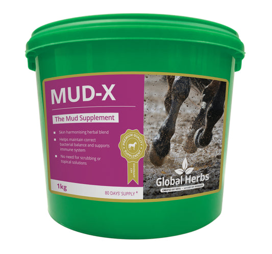 Global H Mud-X 1 kg