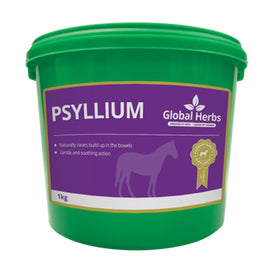 Global H Psyllium 1 kg