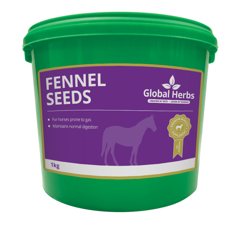 Global H Fennel 1 kg