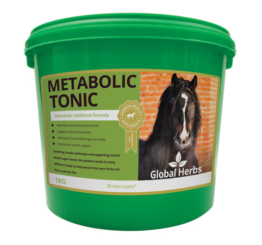 Global H Metabolic Tonic 1 kg