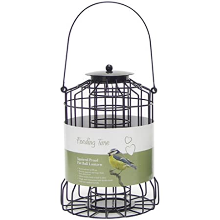 Squirrel Proof Fat Ball Lantern