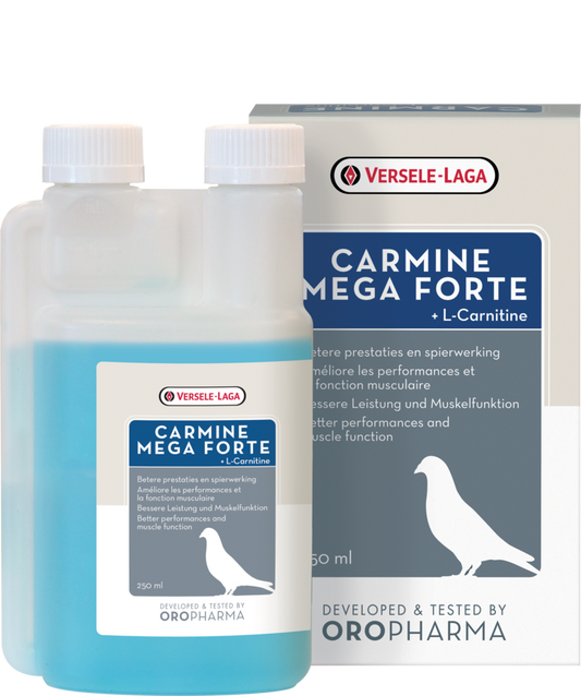 VL Carmine Mega Forte 250 ml