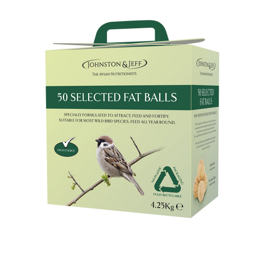 JJ Fatballs Refill No Nets Box x50