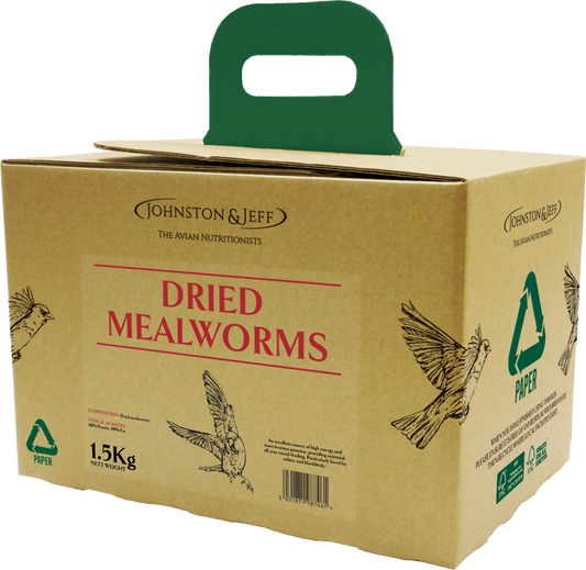 JJ Mealworms in EcoBox 1.5 kg