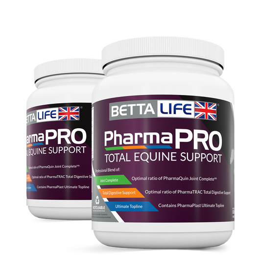 BETTAlife PharmaPro Total Equine 1kg