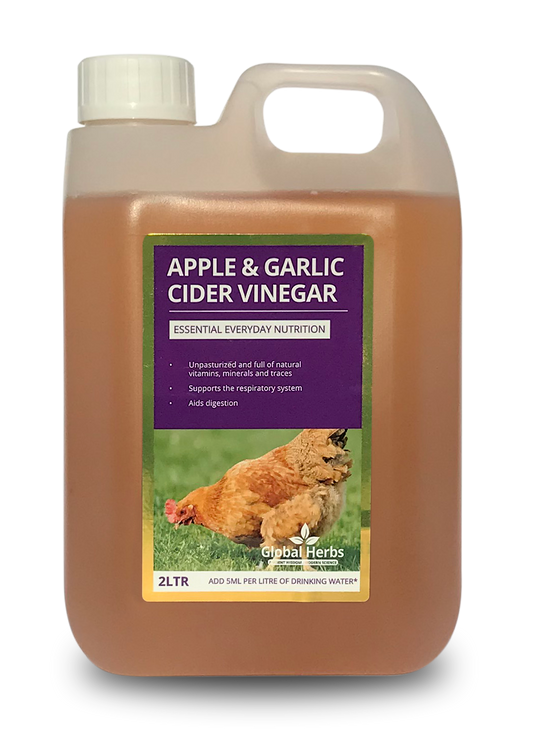 Global H Apple&Garl Cider Vinegar(C) 2L