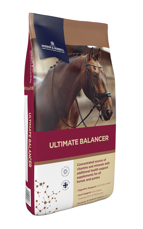 D & H Ultimate Balancer 20 kg