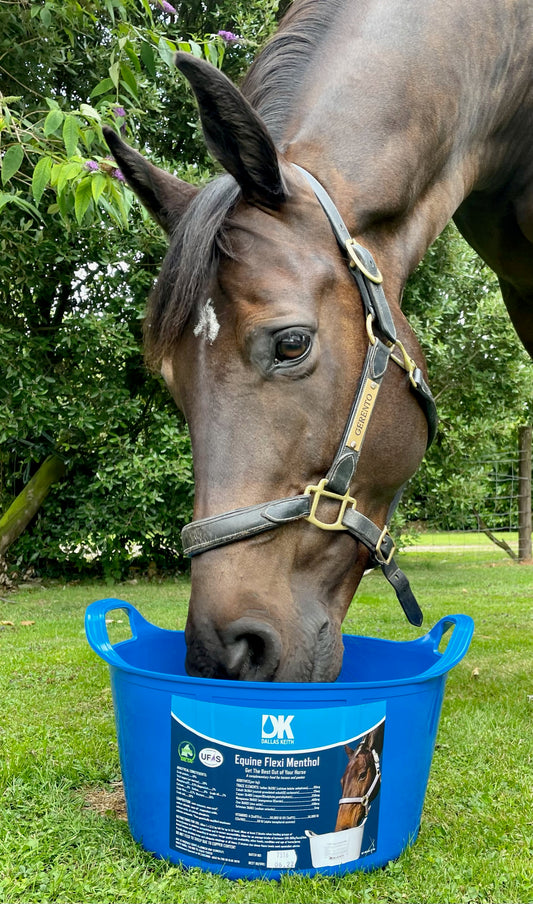 DK Equine Flexi Tub with Menthol 12.5kg