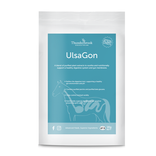 Thunderbrook Ulsagon 1 kg