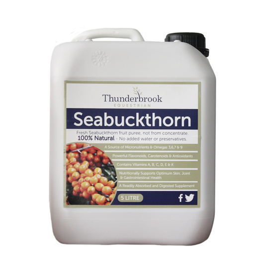 Thunderbrook Seabuckthorn 5 L