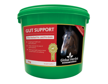 Global H Gut Support 1 kg