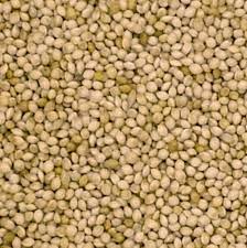 JJ Milletseed White French 20 kg