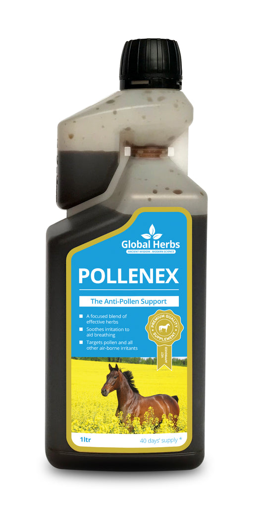 Global H Pollene X Syrup 1 L