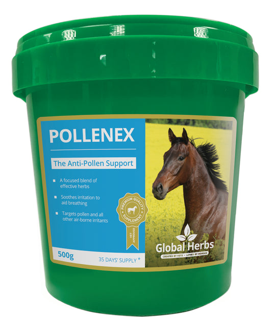 Global H Pollene X 500 g