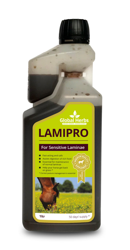 Global H LamiPro Liquid 1 L