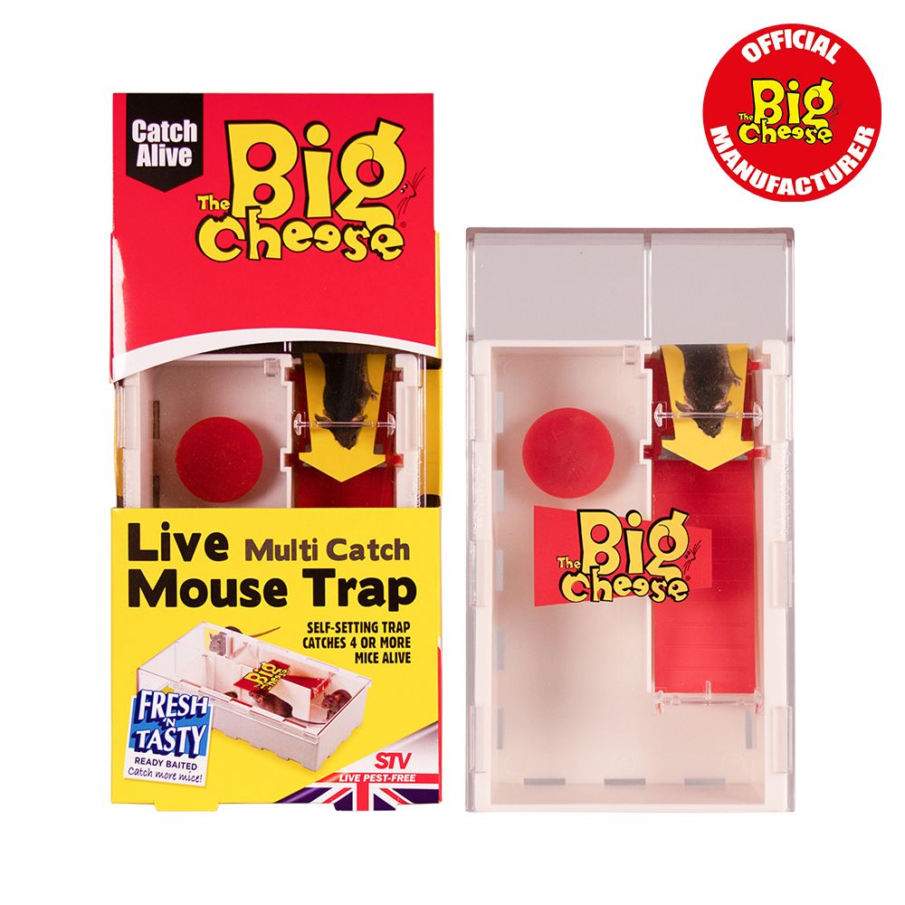 Big Cheese Live Mouse Multi Catch Trap