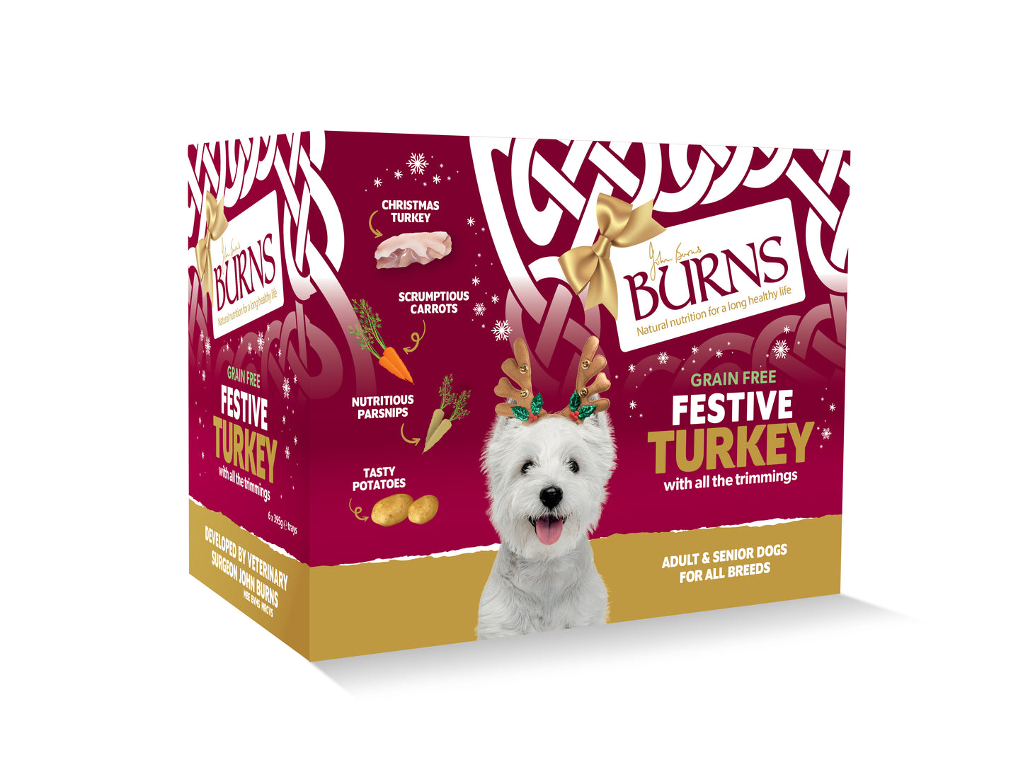 Burns Xmas Dog Tray GF Turkey 6x395g